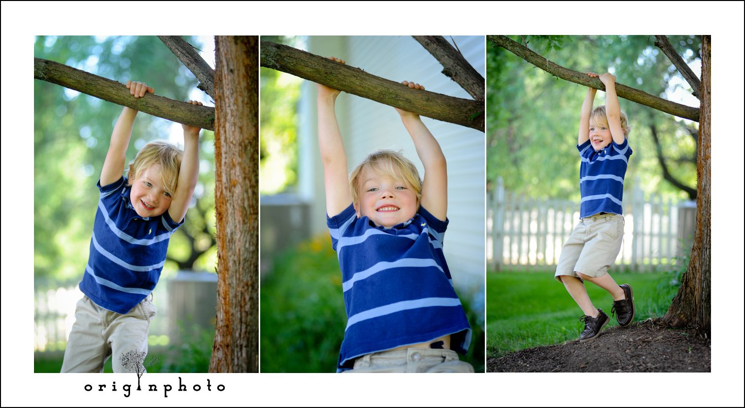 boy swinging from birch tree