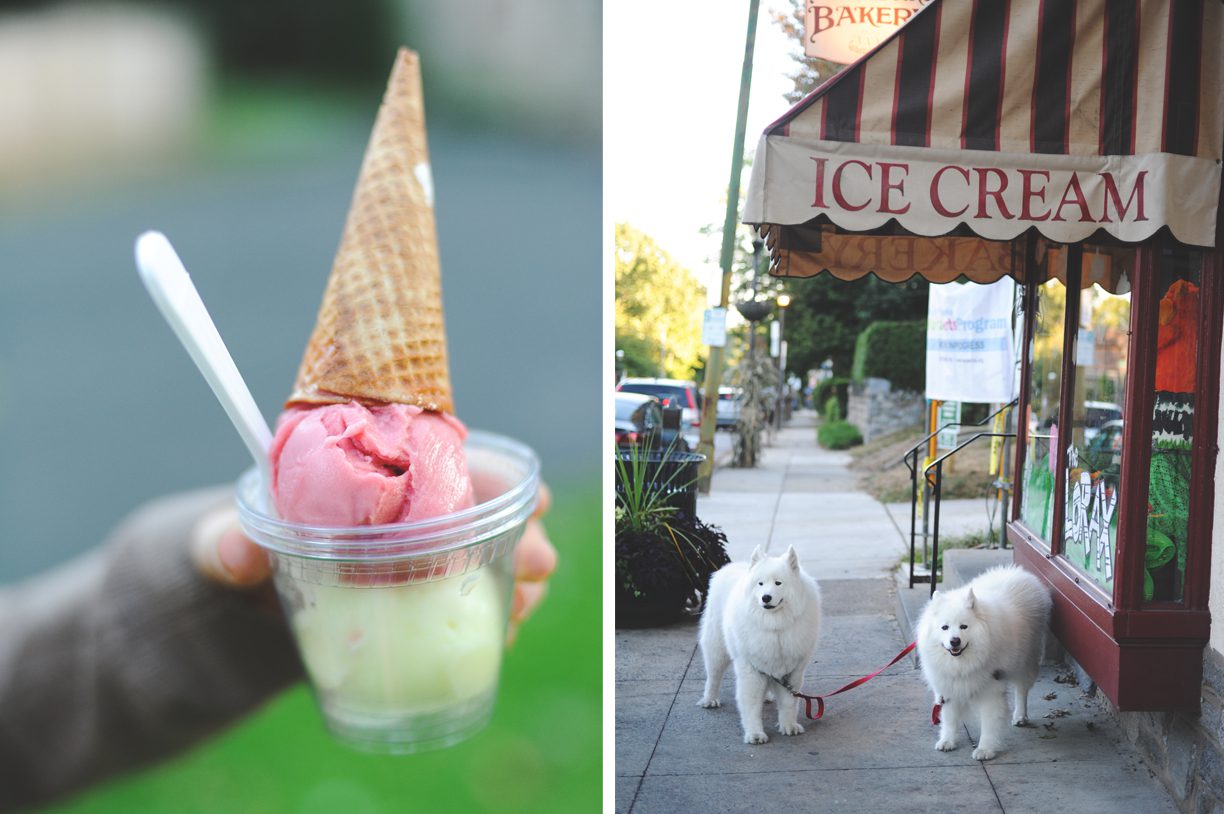 ice cream and dogs
