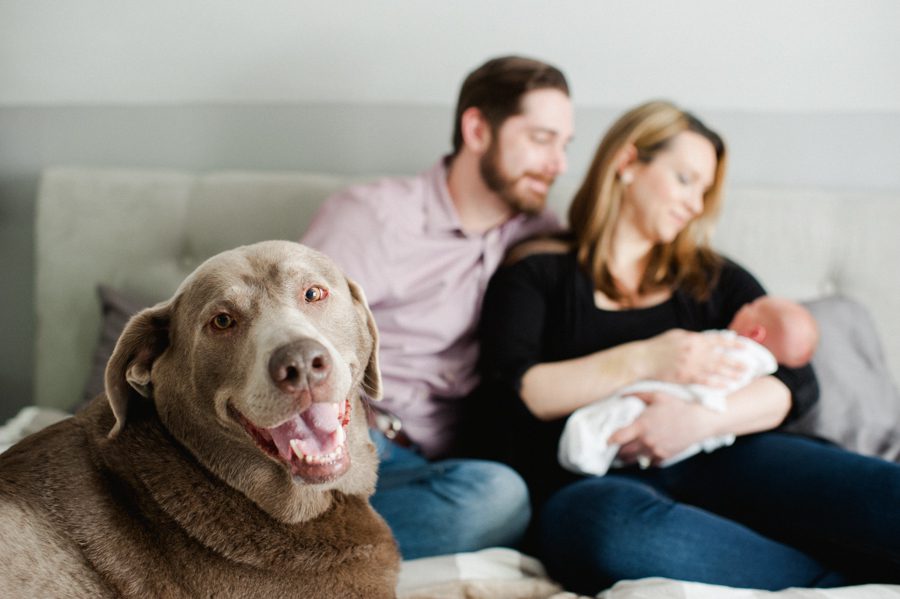 10-baby-boy-with-dog-and-family