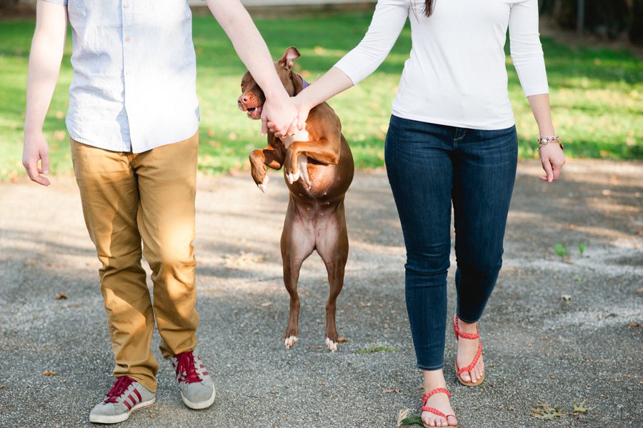 4-couple-with-jumping-dog