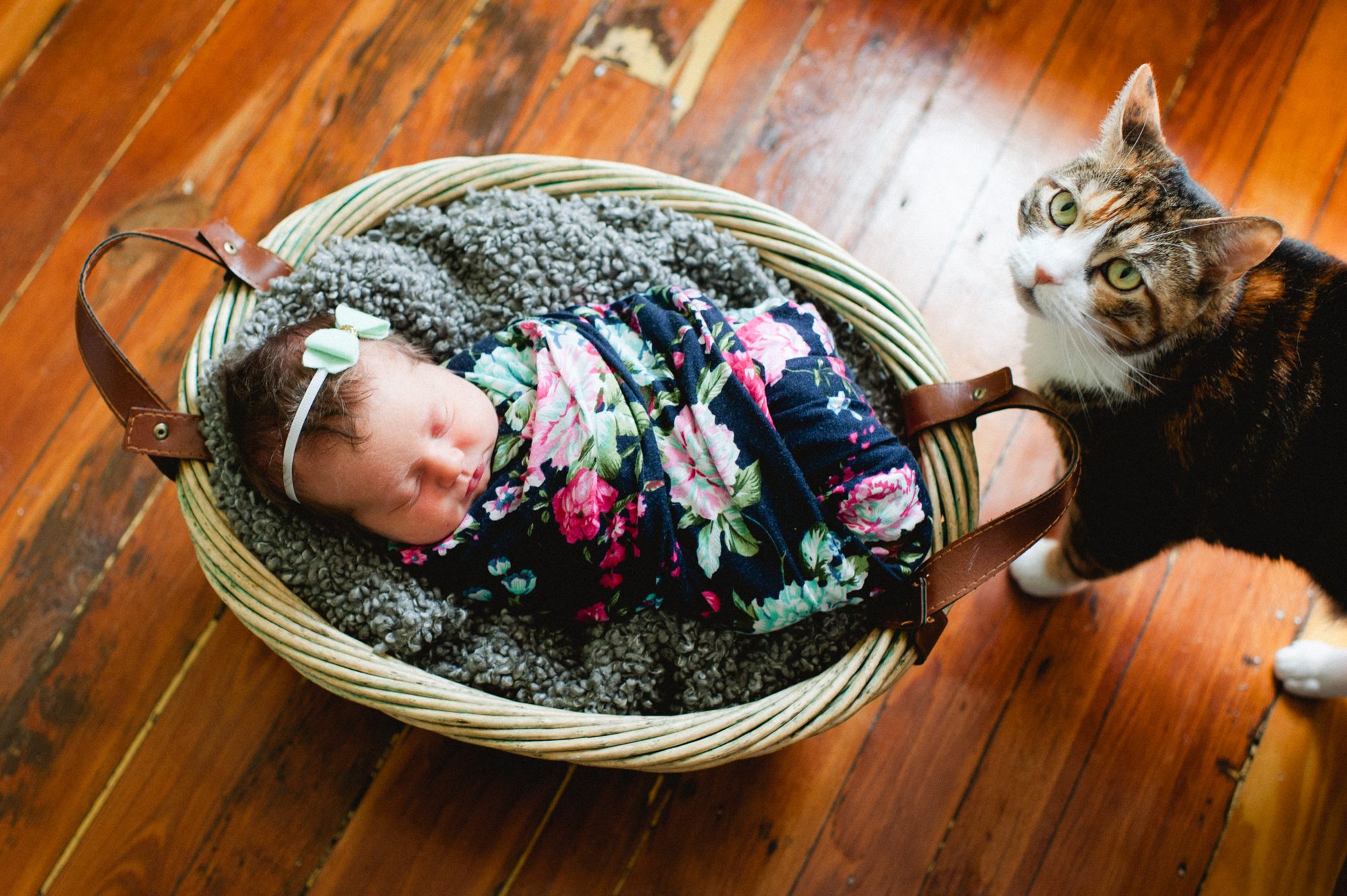 cat standing next to newborn baby wrapped in a floral blanket