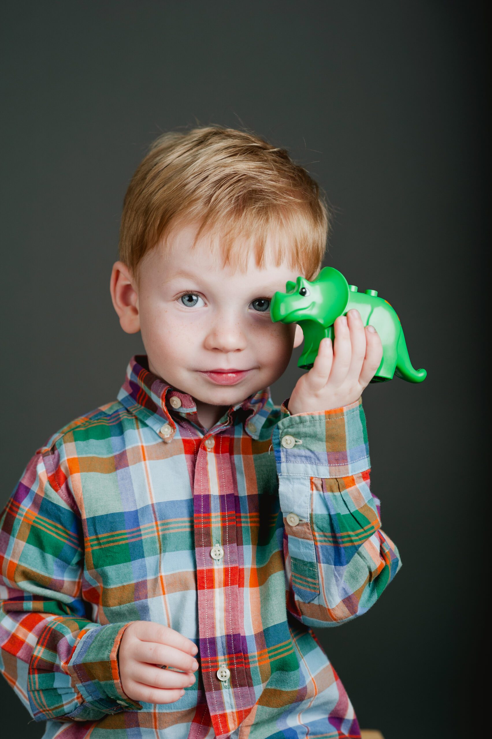 preschool boy holding a dinosaur in his school portrait